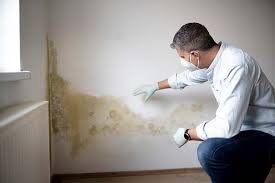  University, FL Mold Removal & Remediation Pros